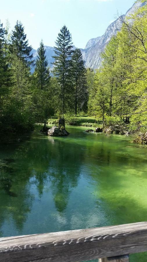 Pr'Mruzo Apartmaji Bohinj Esterno foto